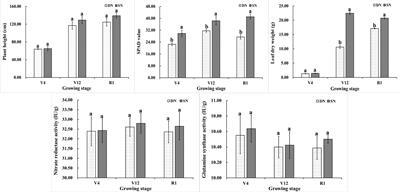 Analysis of metabolic differences in maize in different growth stages under nitrogen stress based on UPLC-QTOF-MS